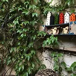 For Main Square Apart-hotel 4*