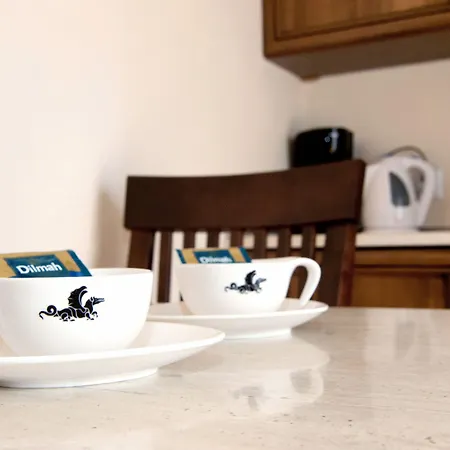 Aparthotel For Main Square Cracovia