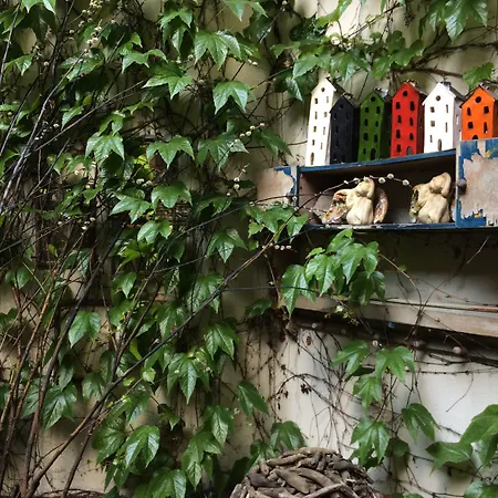 For Main Square Aparthotel 4*